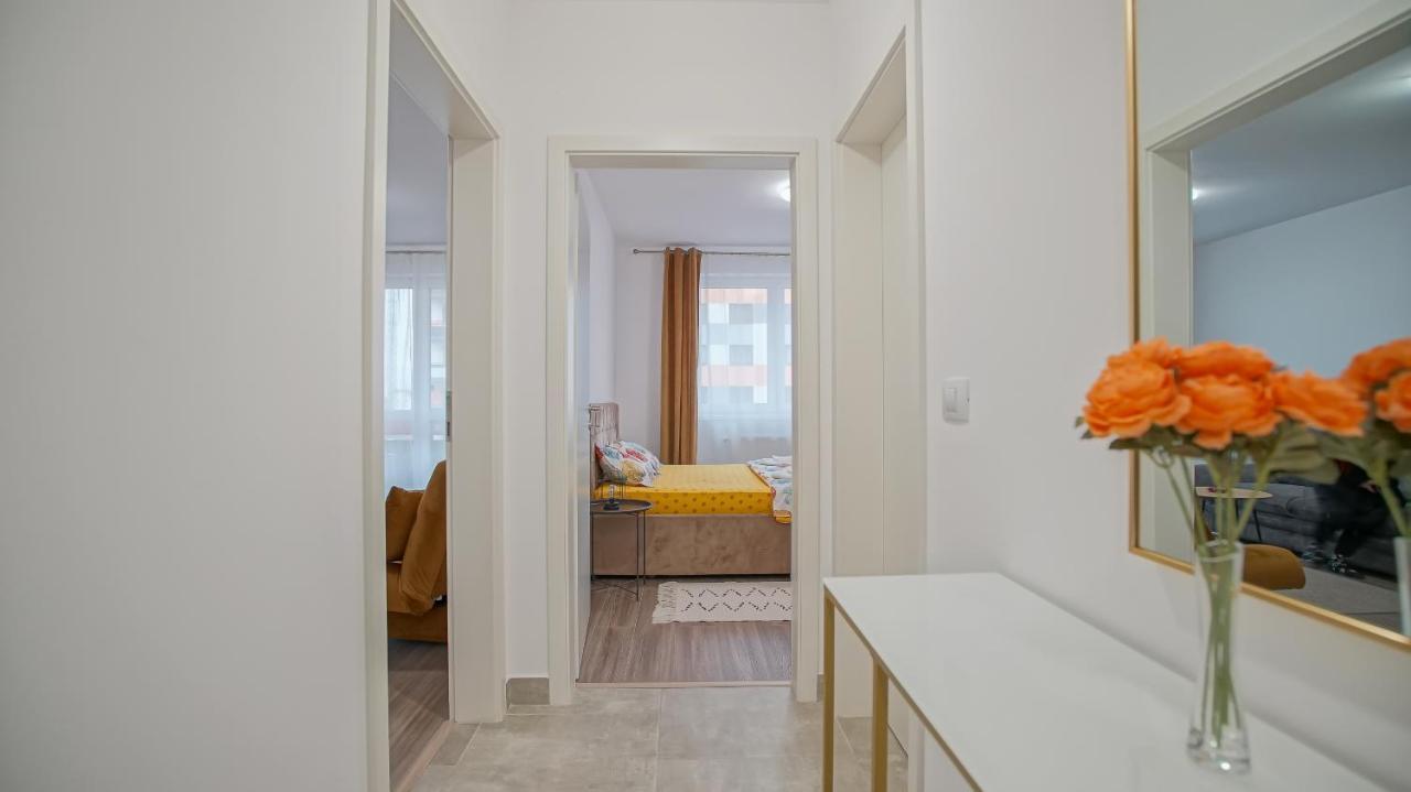 Grandis Studio Coresi Brașov Exterior foto
